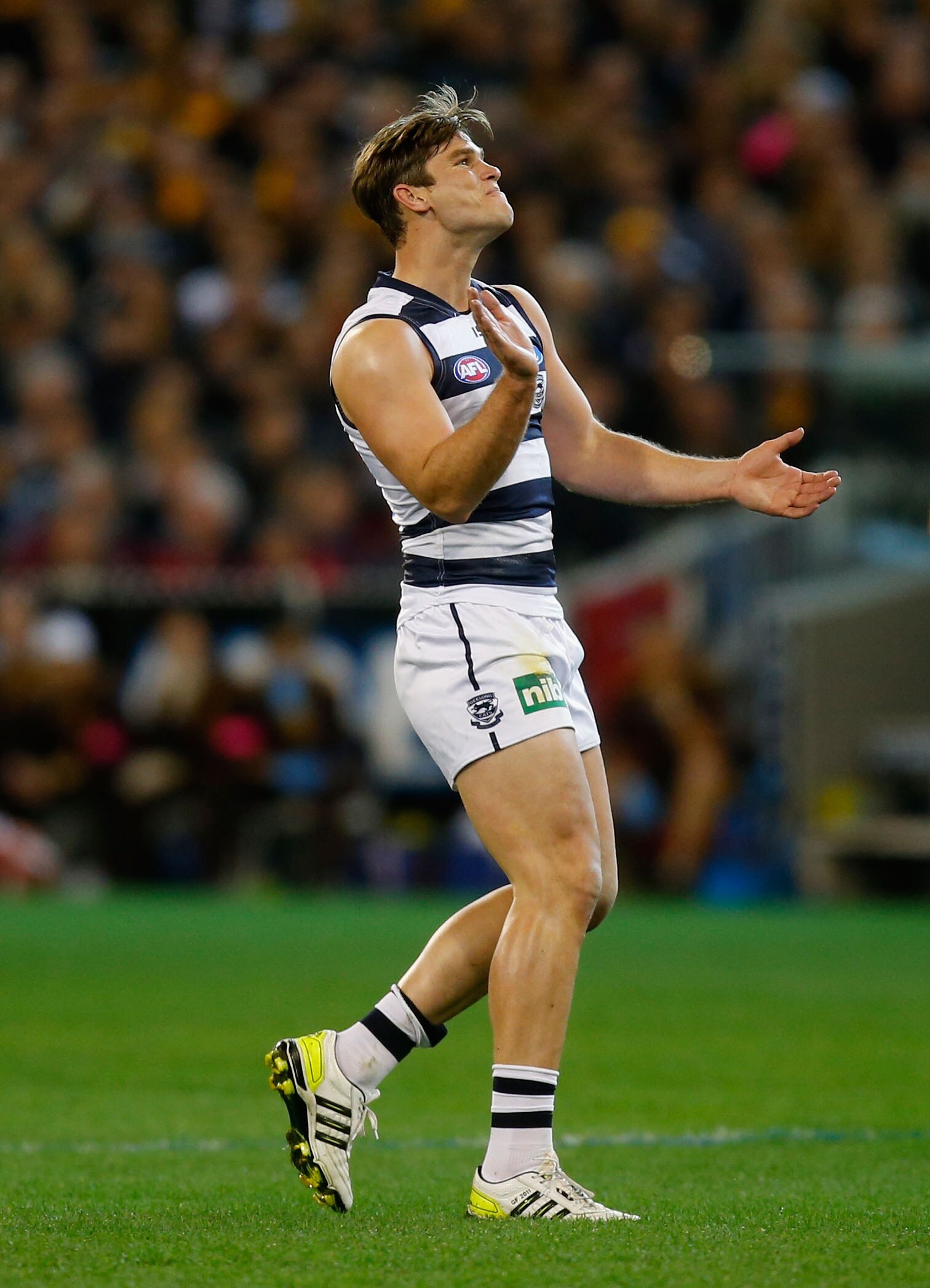 Season preview Geelong